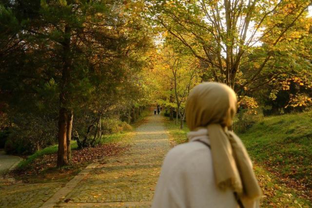 Photo d'illustration : personne marche parc nature