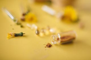 Choisir un naturopathe sérieux : formation, éthique et limites