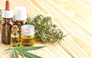 Quel est le meilleur CBD français ?